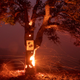 California’s Ranch Fire in August 2018.